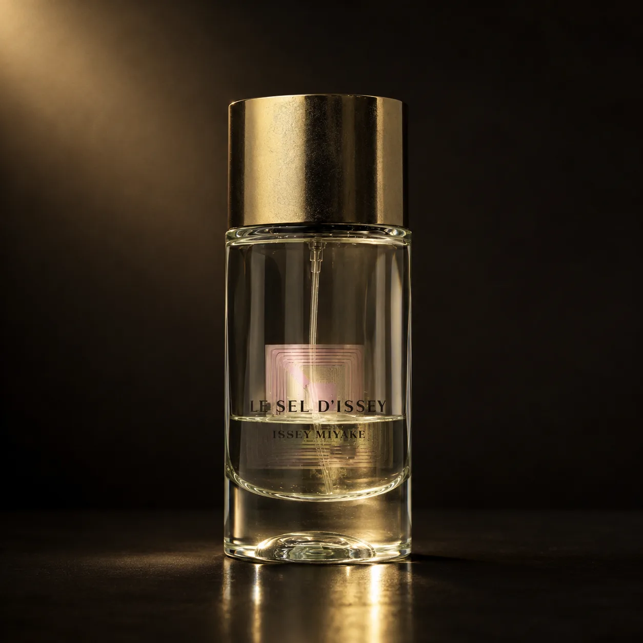 Perfume Issey Miyake Le Sel D'Issey EDT 100ml